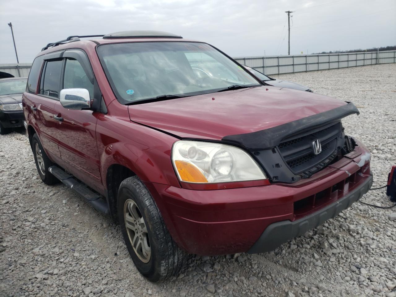 HONDA PILOT EXL 2005 with VIN 5FNYF18545B015584 - Photo from auction