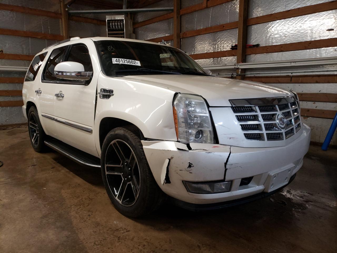 CADILLAC ESCALADE 2009 with VIN 1GYFK13209R123792 - Photo from auction