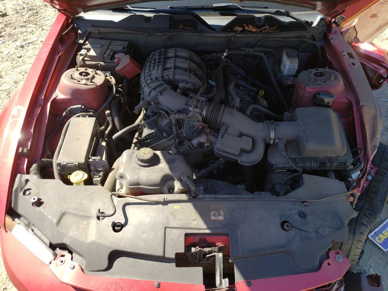 Photo 7 from auction – 2011 FORD MUSTANG with VIN 1ZVBP8AM2B5167967
