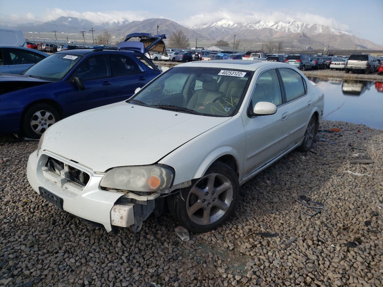 Photo 2 from auction – 2003 NISSAN MAXIMA GLE with VIN JN1DA31A23T423790