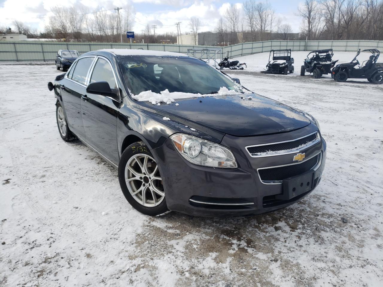 CHEVROLET MALIBU 1LT 2011 with VIN 1G1ZC5E18BF300293 - Photo from auction