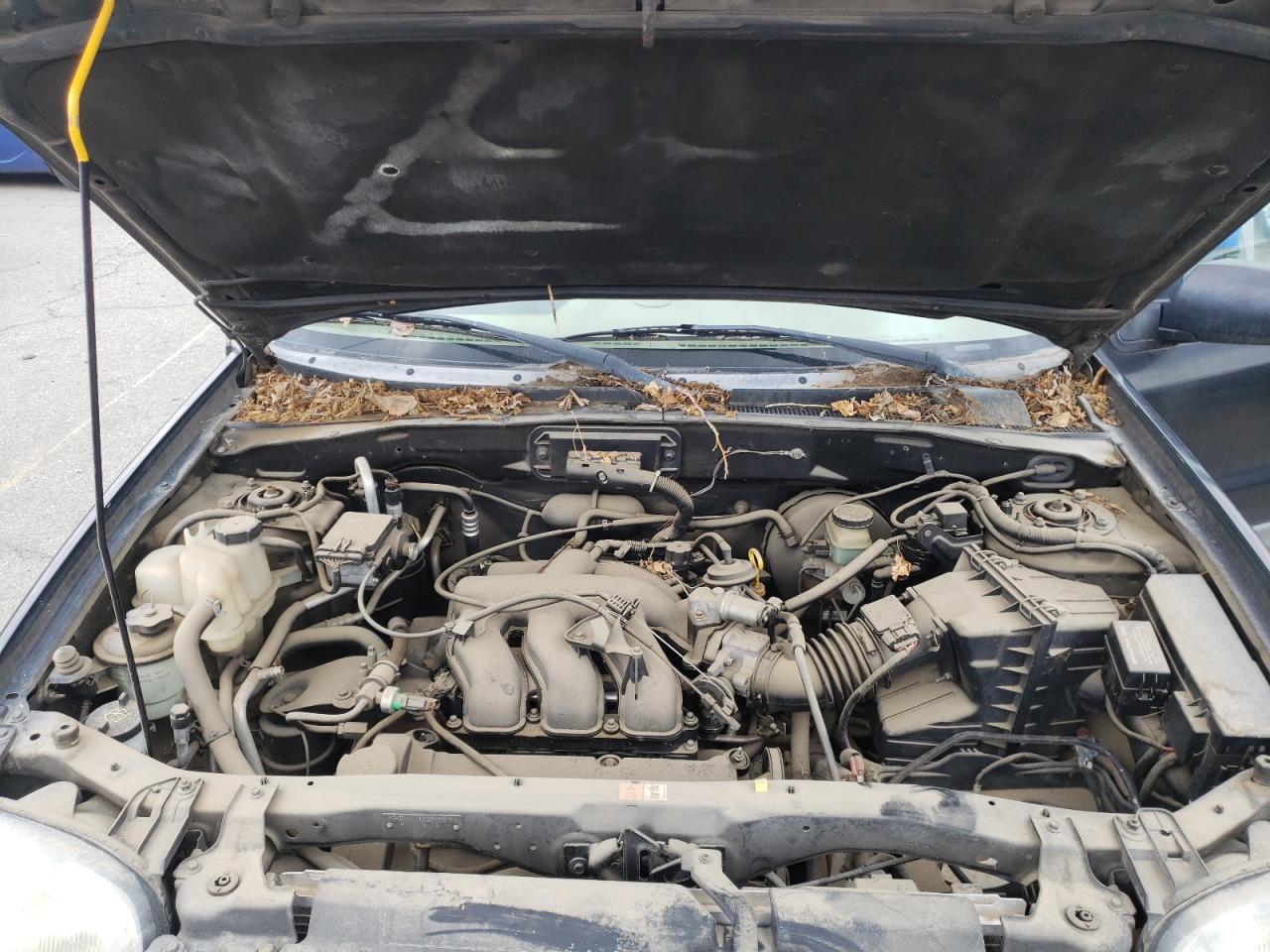 Photo 7 from auction – 2001 FORD ESCAPE with VIN 1FMCU031X1KC22648