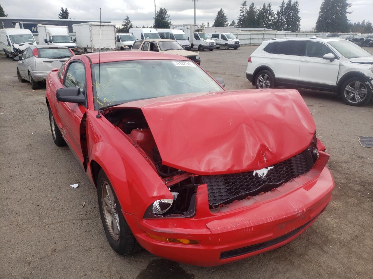 FORD MUSTANG 2008 with VIN 1ZVHT80N985196567 - Photo from auction