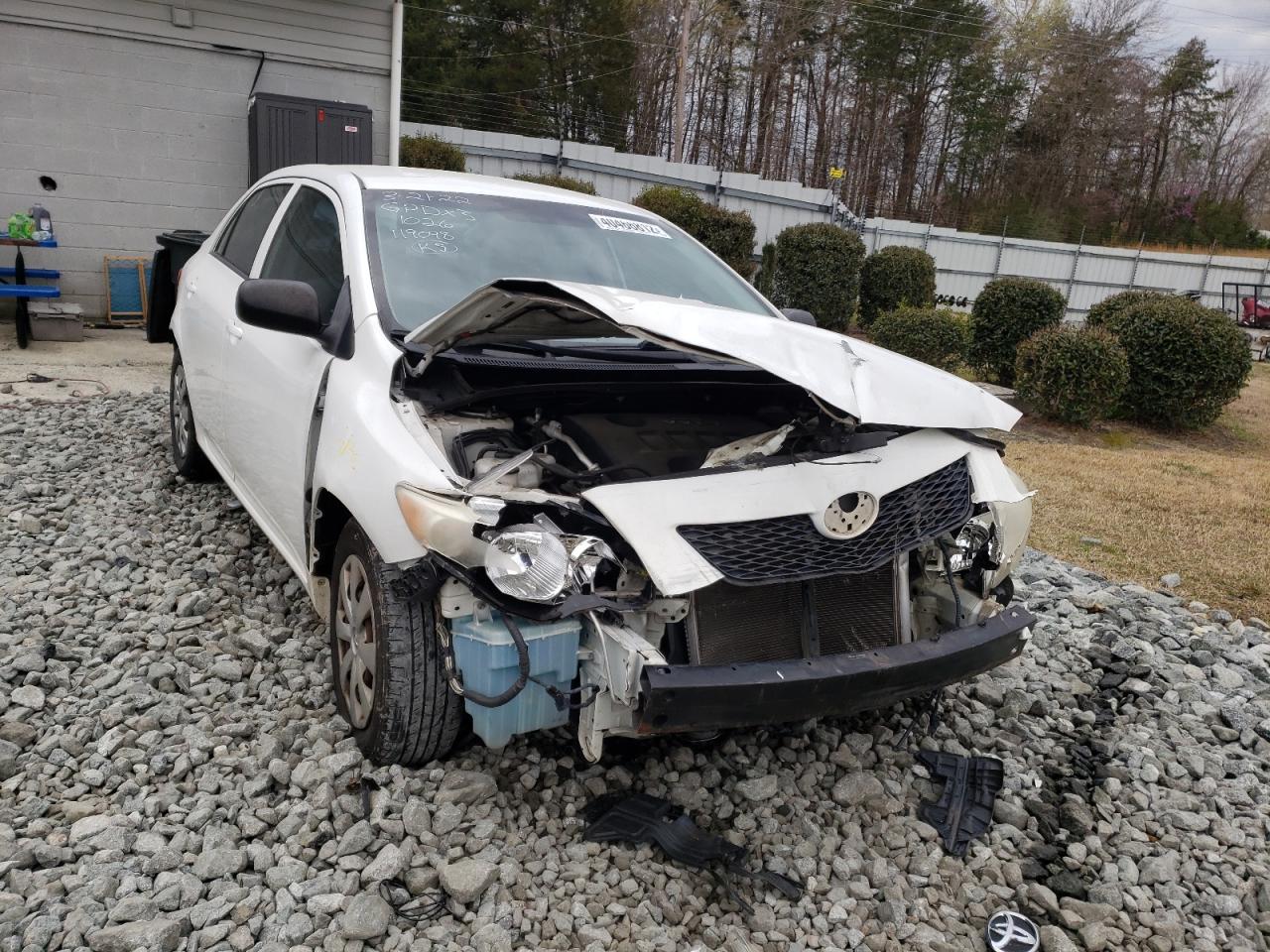 TOYOTA COROLLA BA 2009 with VIN JTDBL40E39J031026 - Photo from auction