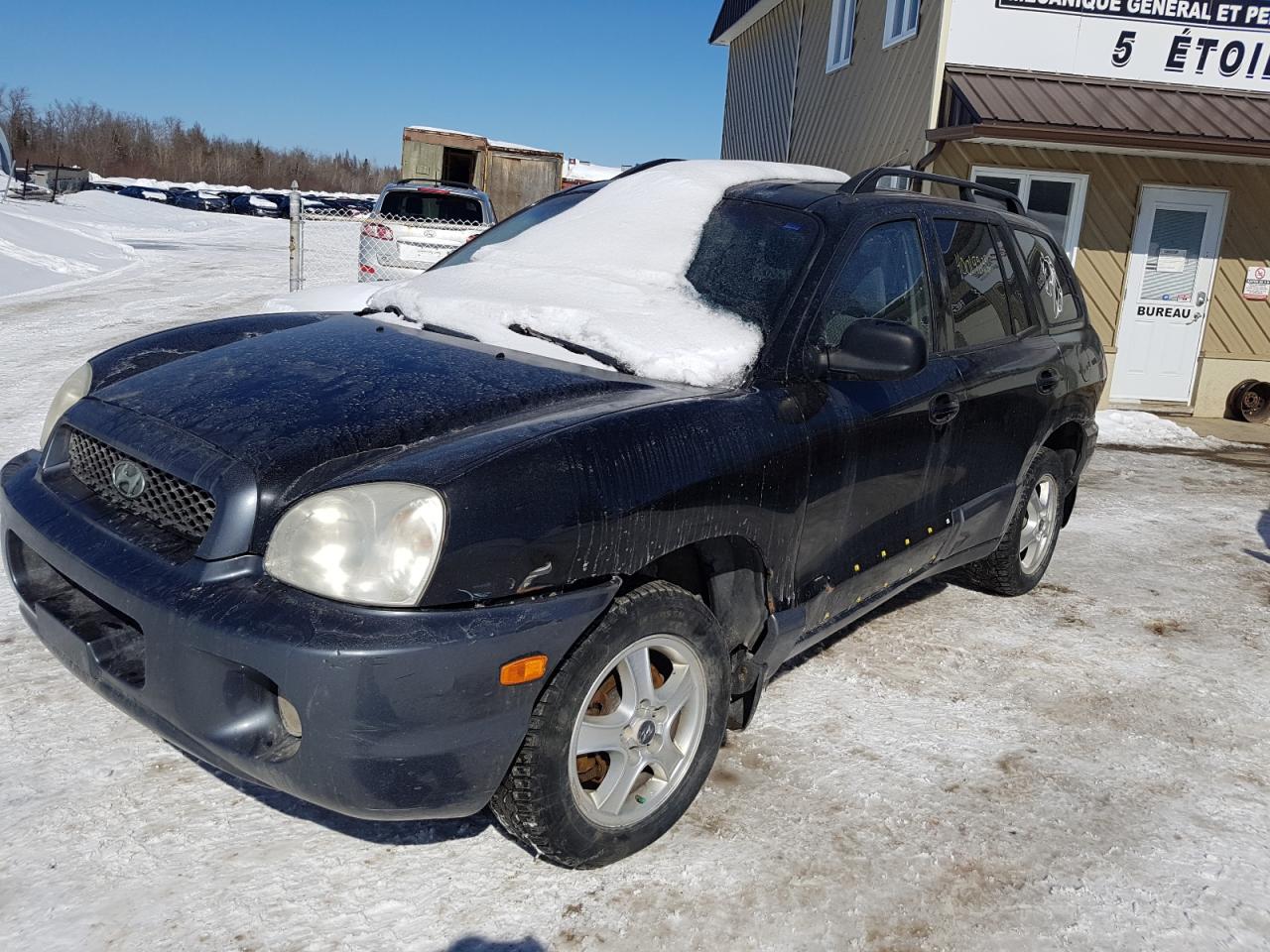 Photo 2 from auction – 2003 HYUNDAI SANTA FE with VIN KM8SB13D83U500696