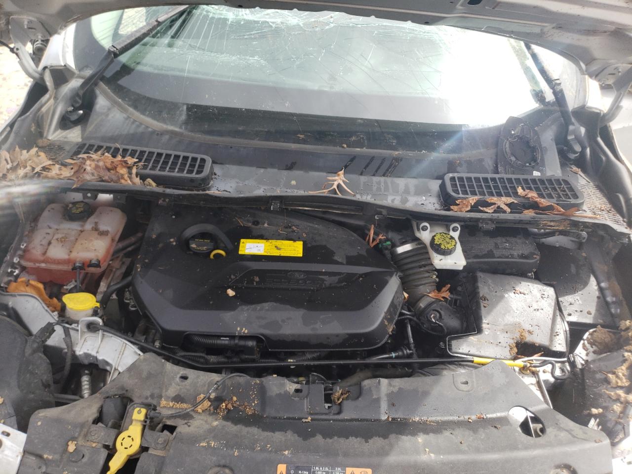 Photo 7 from auction – 2015 FORD ESCAPE SE with VIN 1FMCU0GX1FUB42746