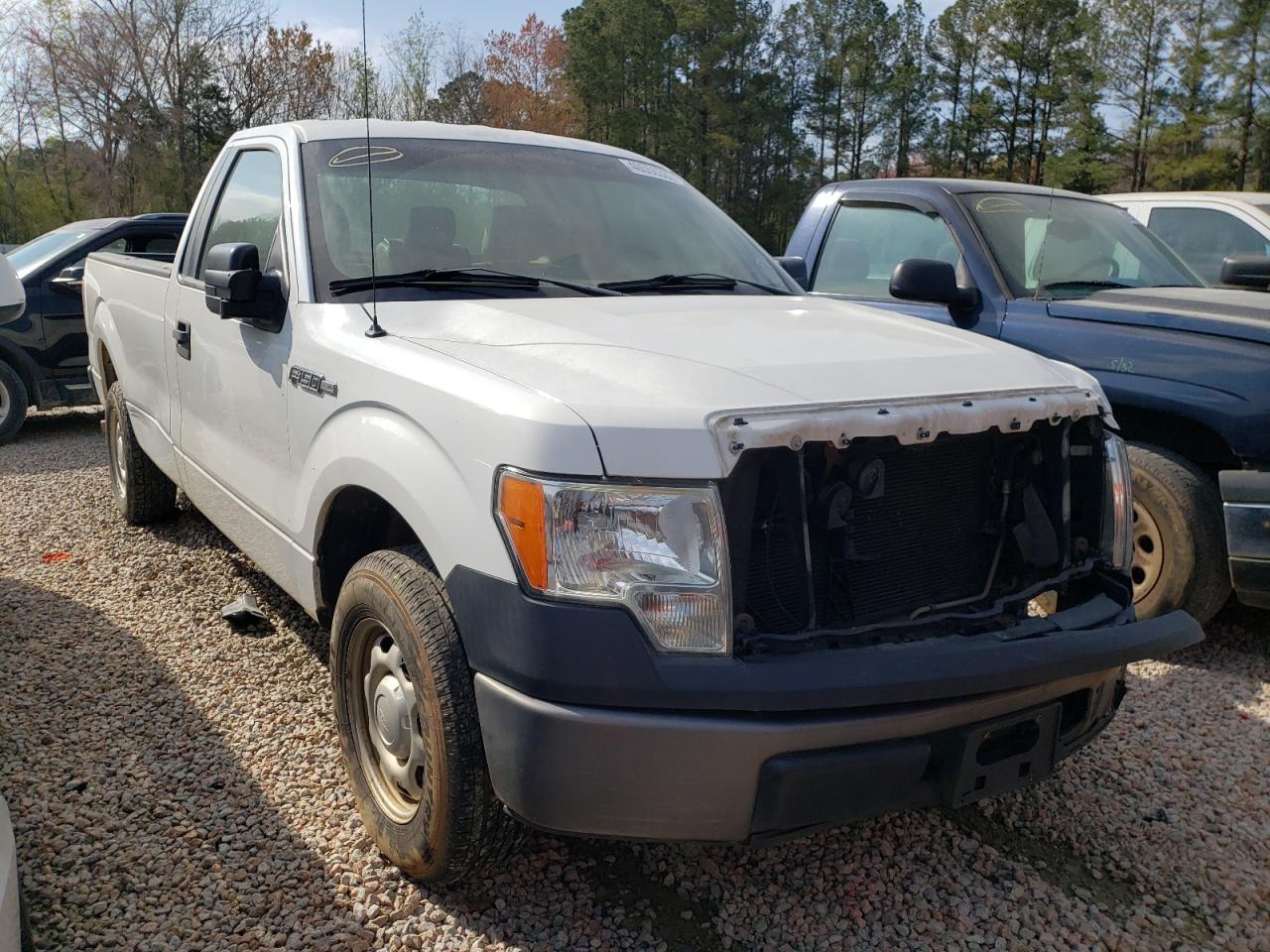 FORD F150 2013 with VIN 1FTMF1CM3DKF64093 - Photo from auction