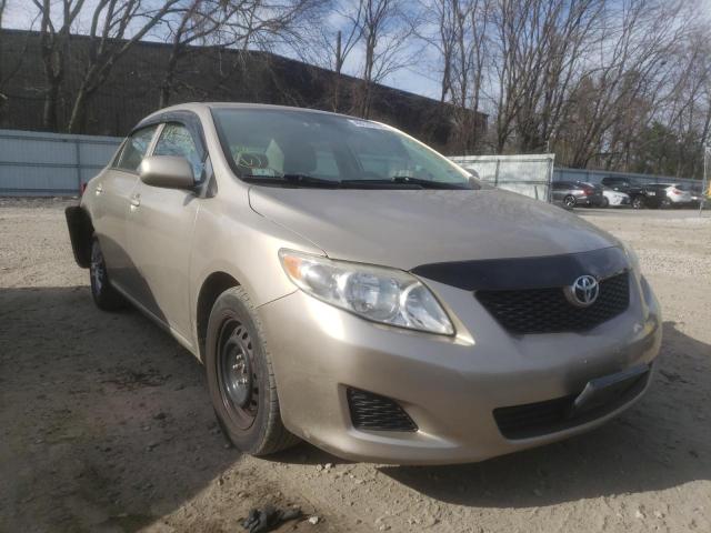 TOYOTA COROLLA BA 2010 with VIN 2T1BU4EE0AC280986 - Photo from auction