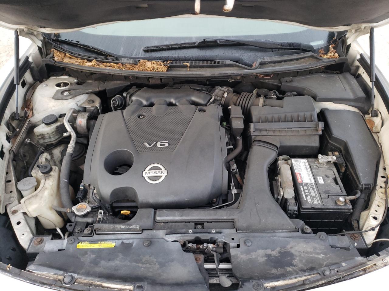 Photo 7 from auction – 2009 NISSAN MAXIMA S with VIN 1N4AA51E69C803549