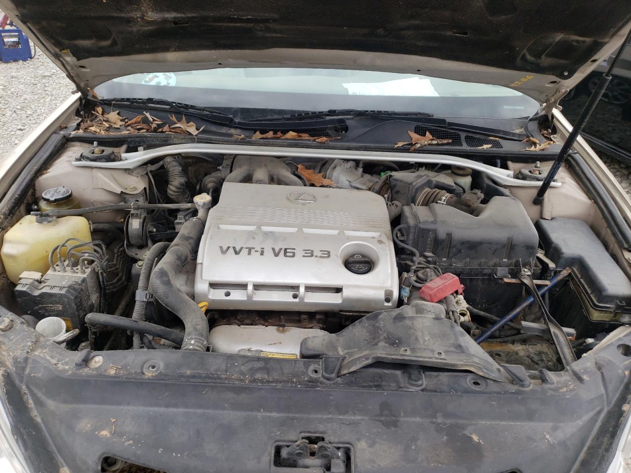Photo 7 from auction – 2004 LEXUS ES 330 with VIN JTHBA30G845028897