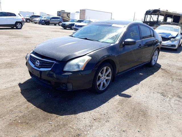 Photo 2 from auction – 2008 NISSAN MAXIMA SE with VIN 1N4BA41E08C835782