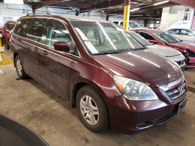 HONDA ODYSSEY EX 2007 with VIN 5FNRL38647B462467 - Photo from auction