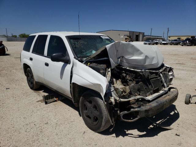 CHEVROLET TRAILBLAZE 2003 with VIN 1GNDS13S632158079 - Photo from auction