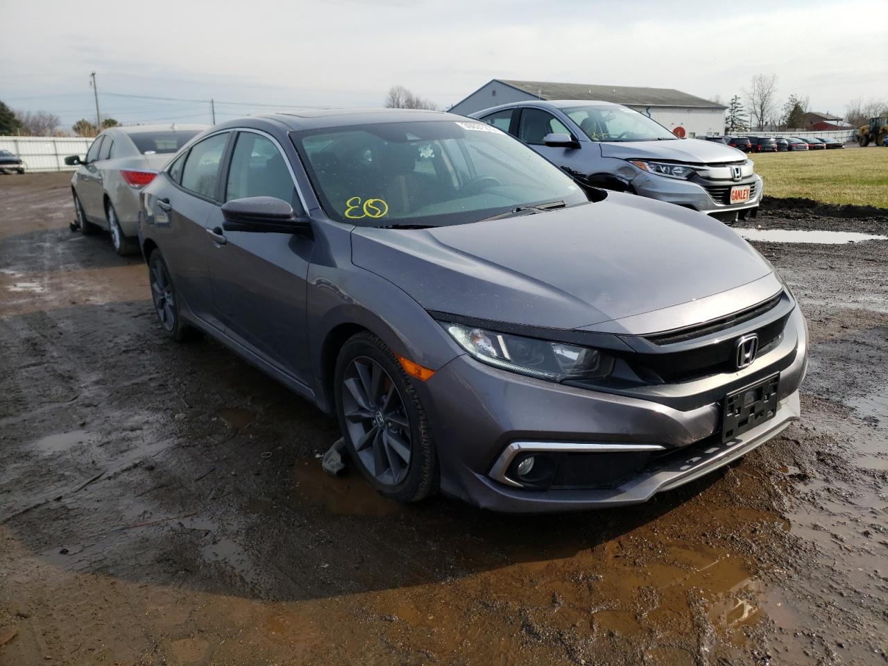 HONDA CIVIC EX 2020 with VIN 19XFC1F31LE020049 - Photo from auction