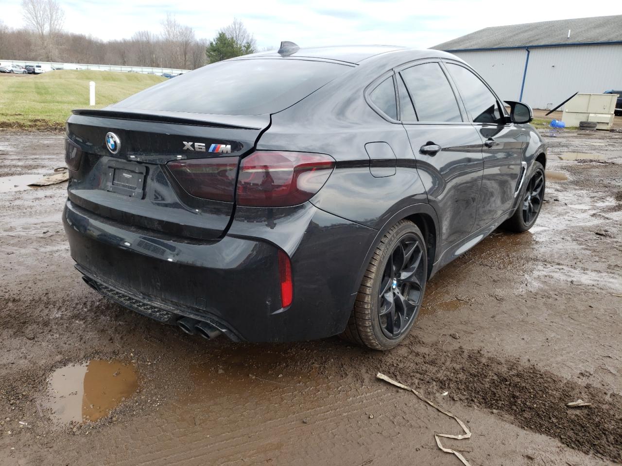 Photo 4 from auction – 2018 BMW X6 M with VIN 5YMKW8C57J0U72511