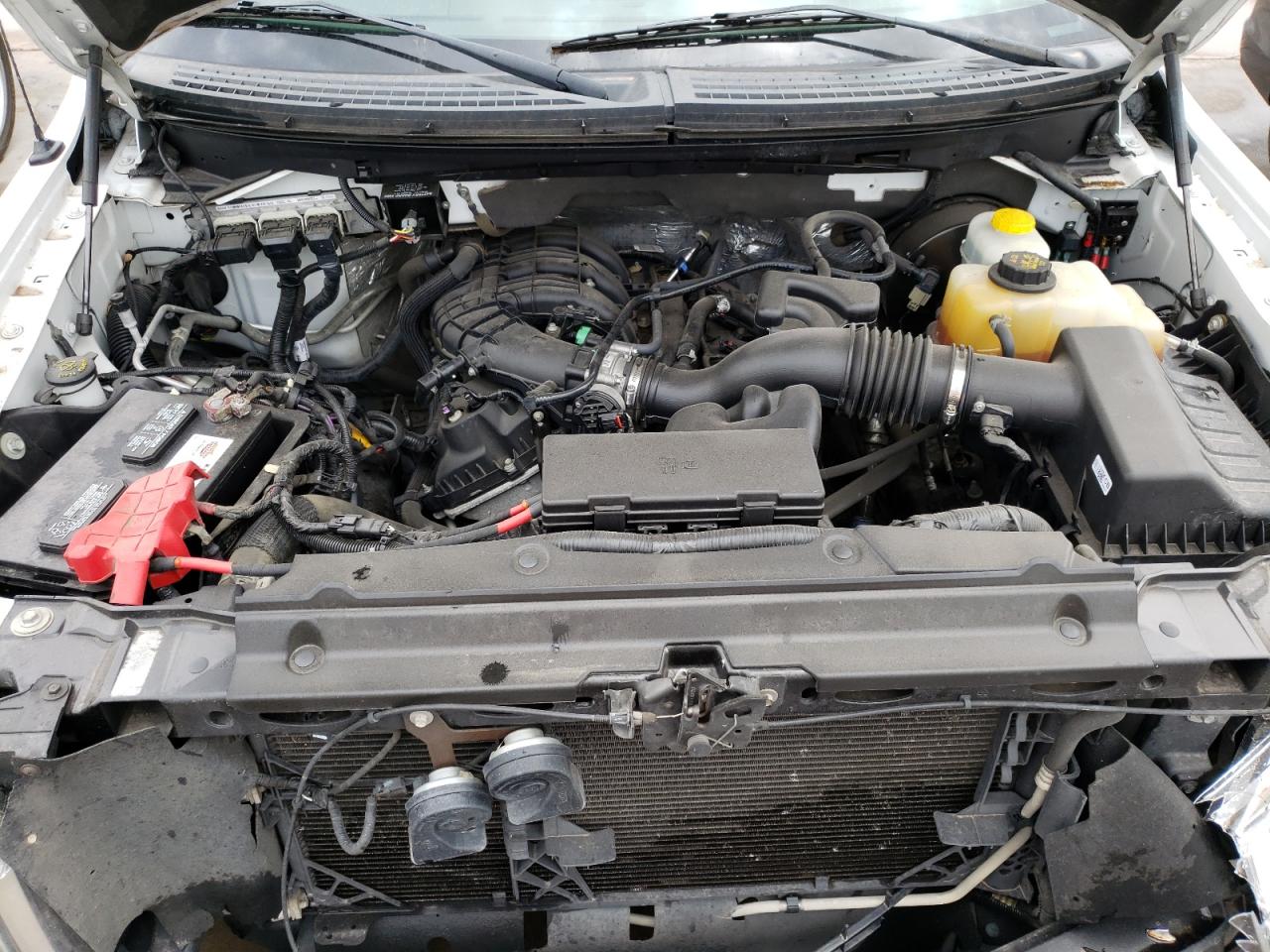 Photo 7 from auction – 2014 FORD F150 with VIN 1FTMF1CM9EKD55572