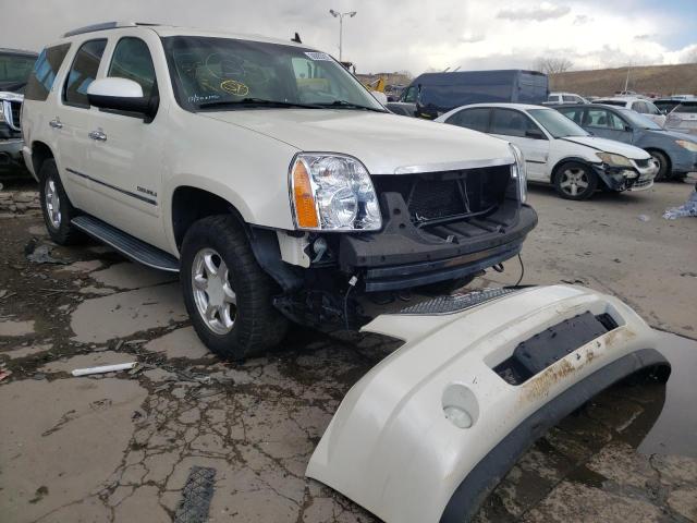 GMC YUKON DENA 2010 with VIN 1GKUKGEJ6AR158642 - Photo from auction