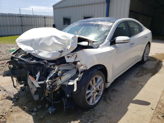 Photo 2 from auction – 2010 NISSAN MAXIMA S with VIN 1N4AA5AP1AC816604