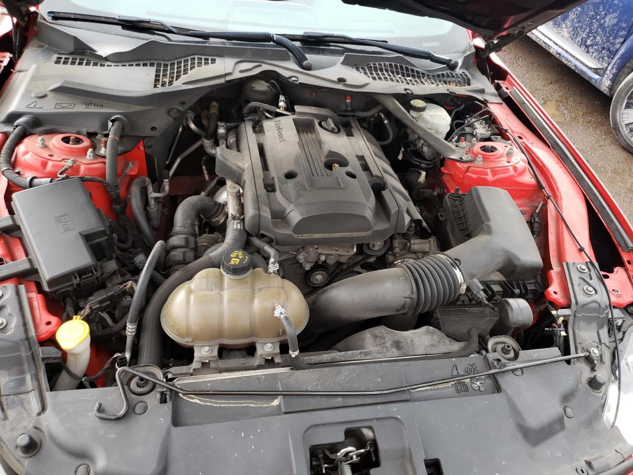 Photo 7 from auction – 2015 FORD MUSTANG with VIN 1FA6P8TH0F5341440