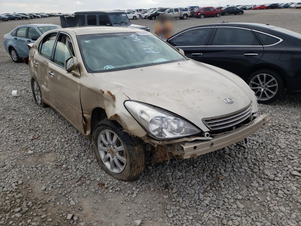 LEXUS ES 330 2004 with VIN JTHBA30G845028897 - Photo from auction