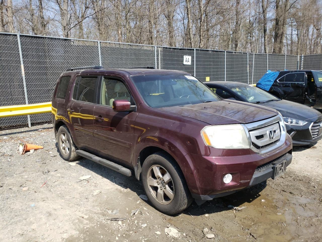 HONDA PILOT EXL 2009 with VIN 5FNYF48649B029095 - Photo from auction