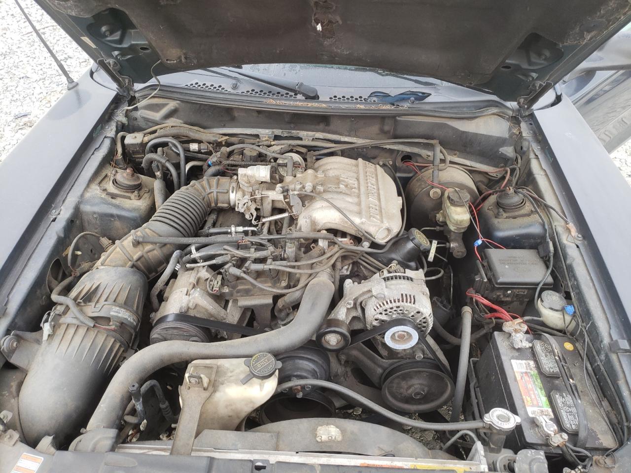 Photo 7 from auction – 1998 FORD MUSTANG with VIN 1FAFP4042WF184997