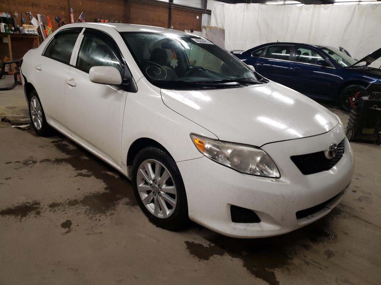 TOYOTA COROLLA BA 2009 with VIN JTDBL40E59J005379 - Photo from auction