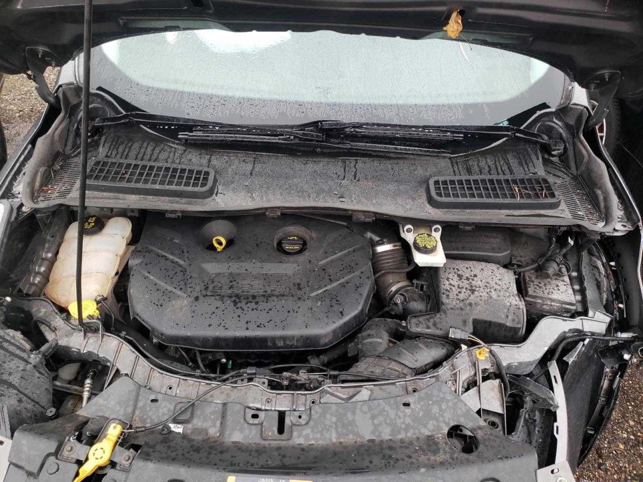 Photo 7 from auction – 2014 FORD ESCAPE SE with VIN 1FMCU9G98EUE02449