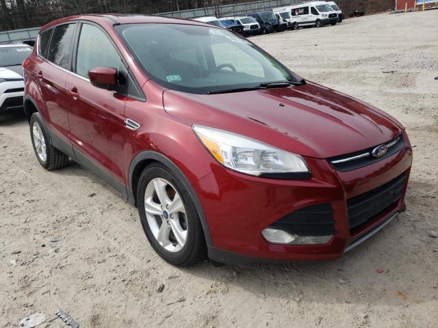 FORD ESCAPE SE 2014 with VIN 1FMCU0GX0EUB19411 - Photo from auction