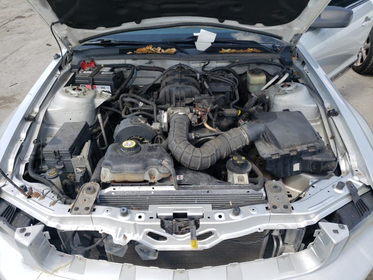 Photo 7 from auction – 2005 FORD MUSTANG with VIN 1ZVFT80N055157708