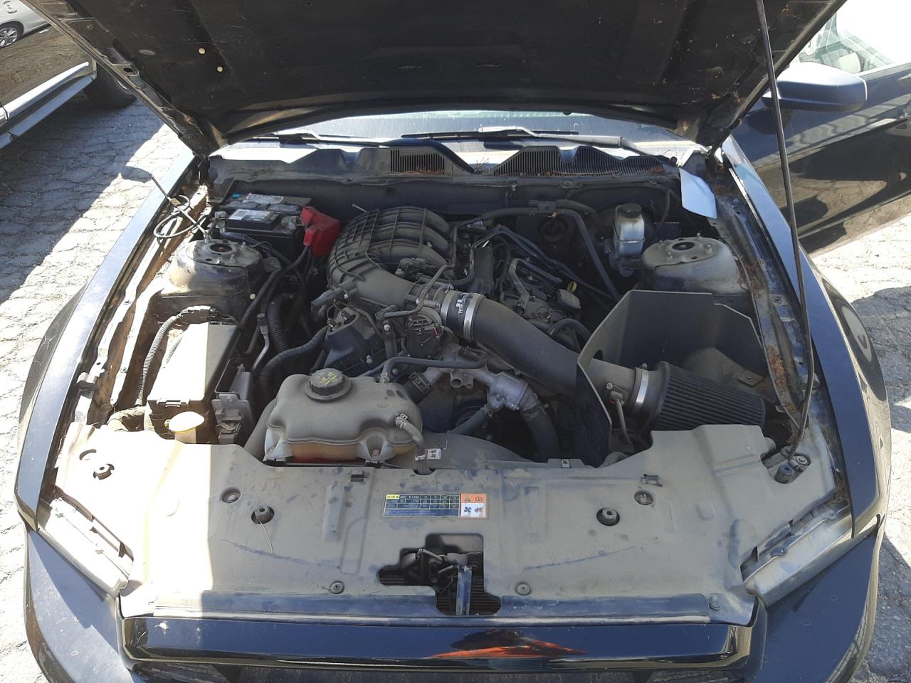 Photo 7 from auction – 2013 FORD MUSTANG with VIN 1ZVBP8AM8D5259507