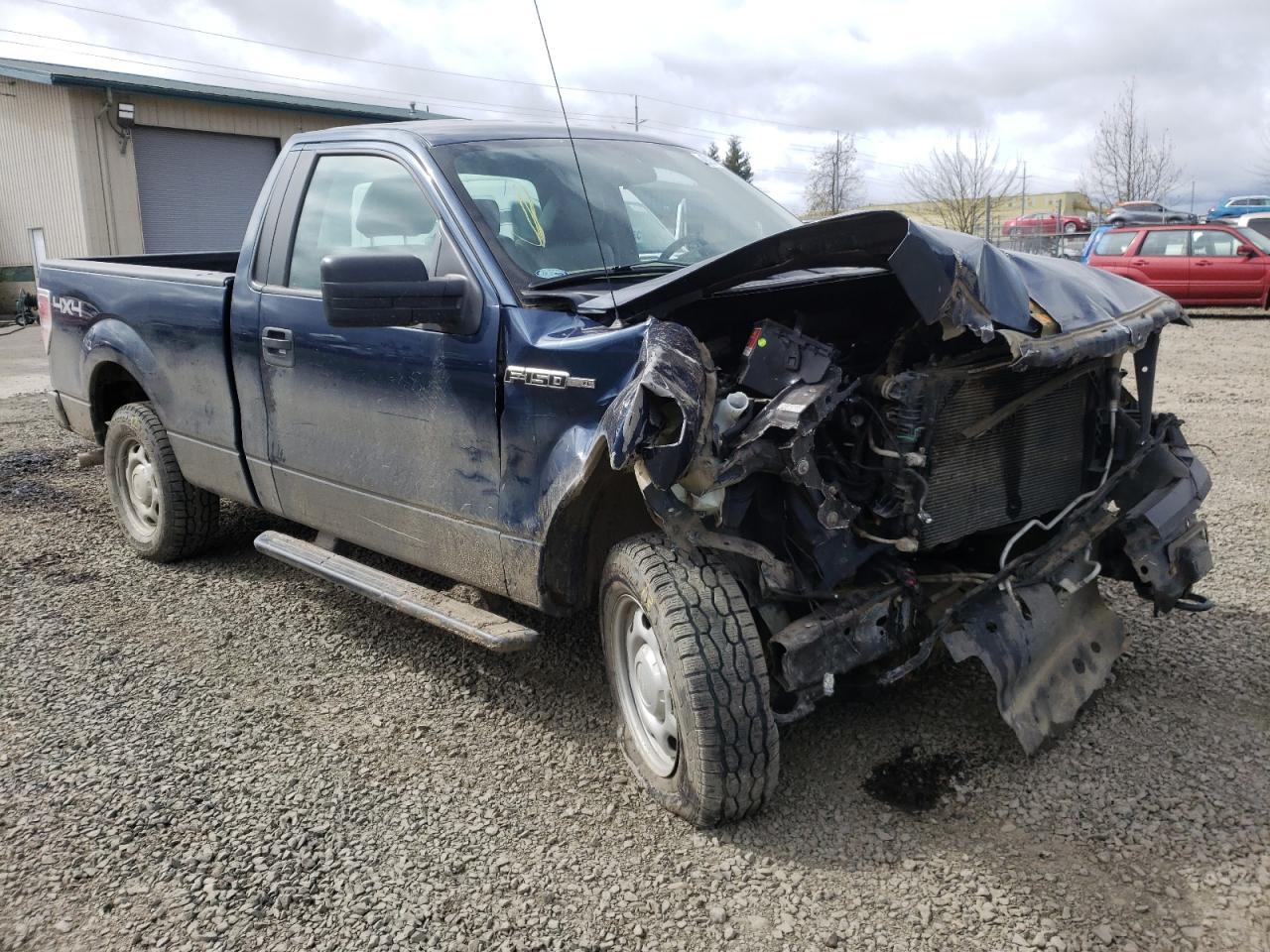 FORD F150 2014 with VIN 1FTMF1EF3EKG08982 - Photo from auction