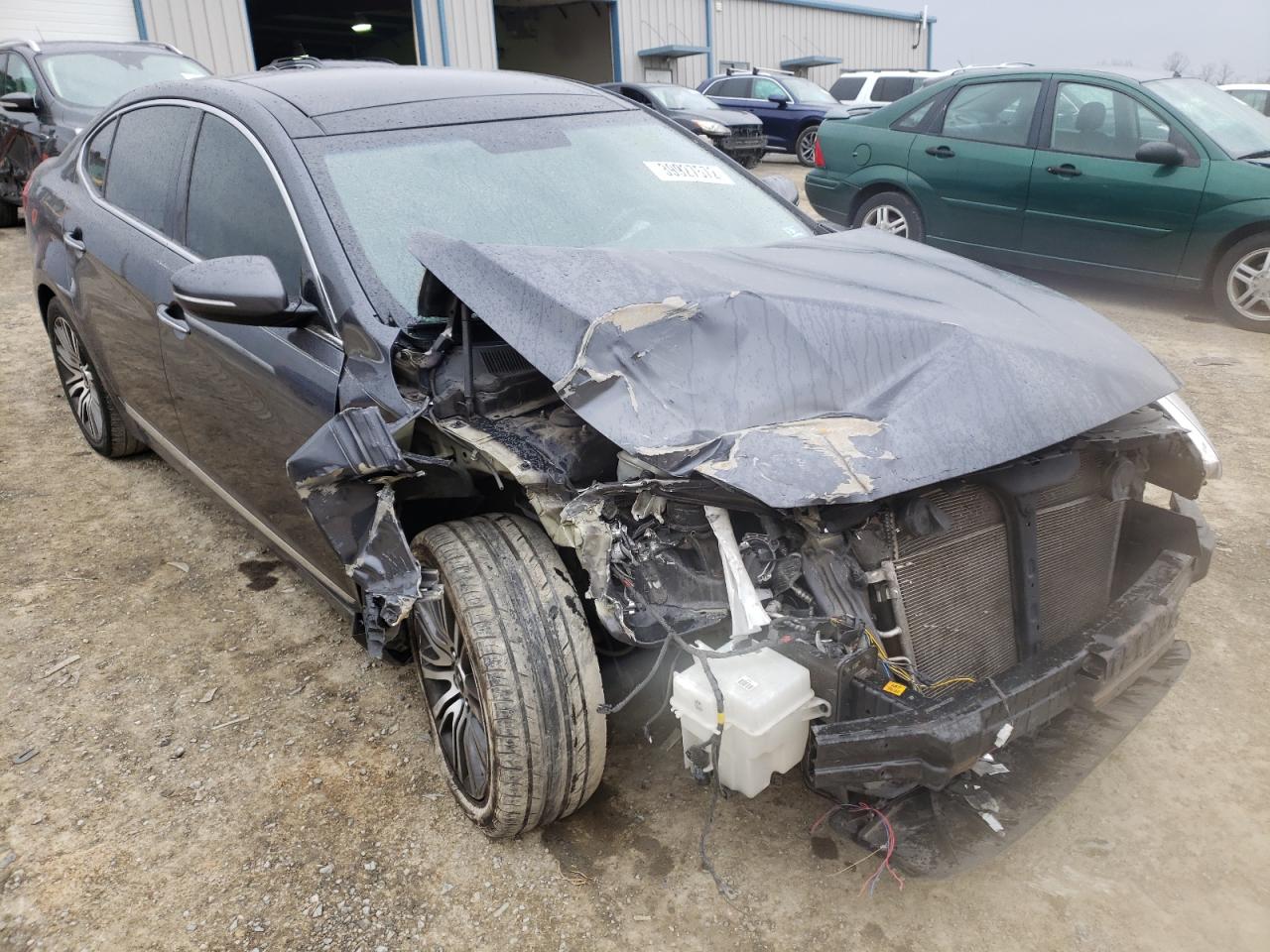 KIA CADENZA PR 2014 with VIN KNALN4D74E5124681 - Photo from auction
