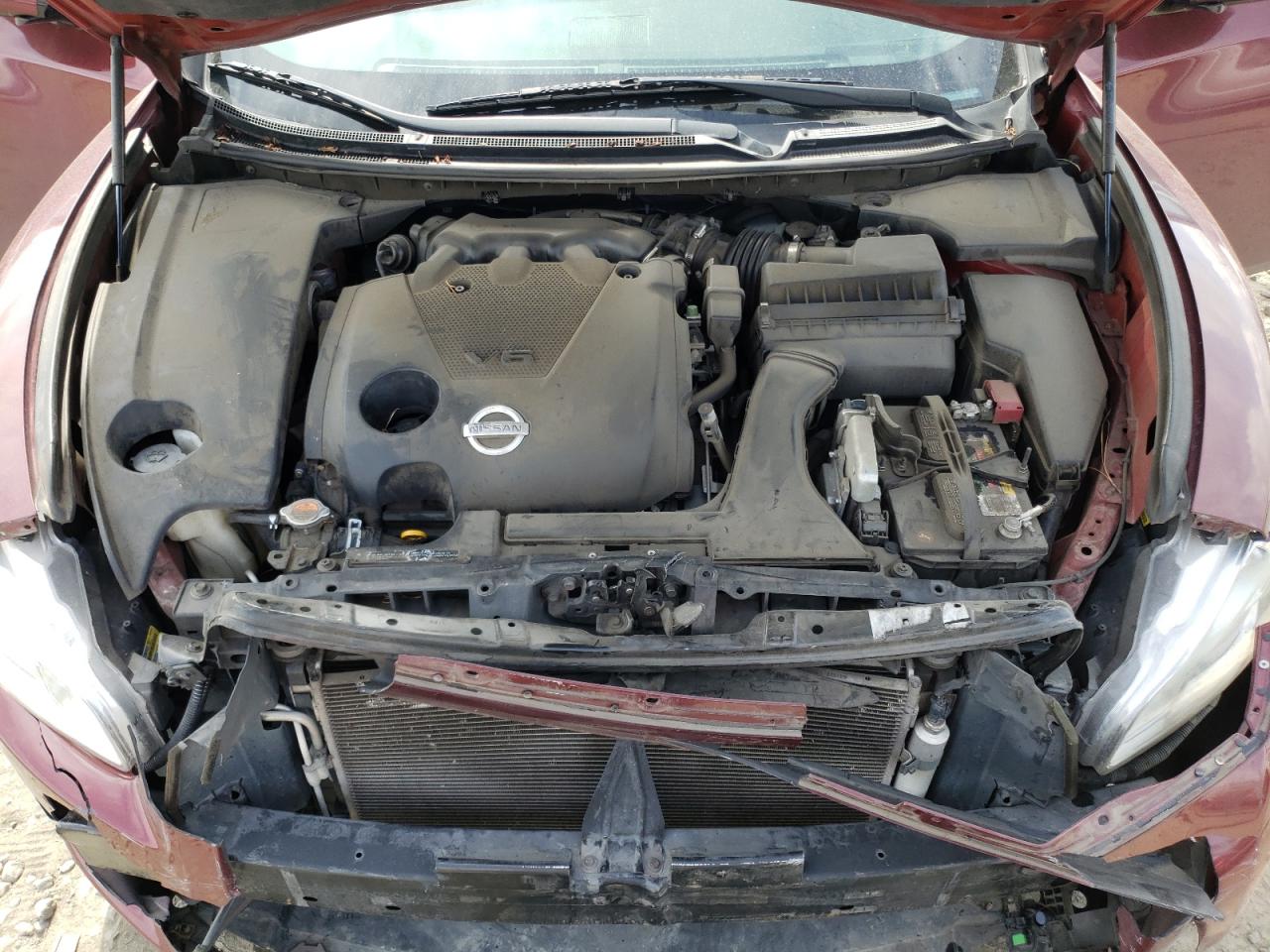 Photo 7 from auction – 2009 NISSAN MAXIMA S with VIN 1N4AA51E99C807319