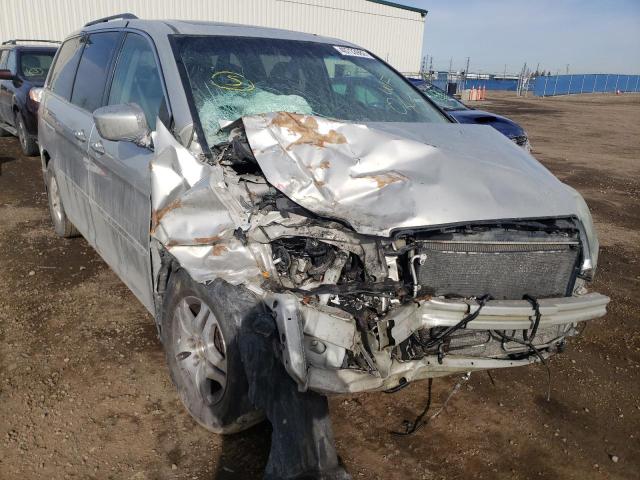 HONDA ODYSSEY EX 2005 with VIN 5FNRL38615B503859 - Photo from auction