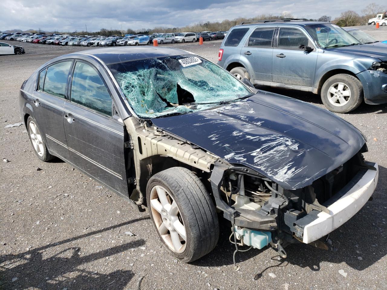 NISSAN MAXIMA SE 2004 with VIN 1N4BA41E44C914074 - Photo from auction