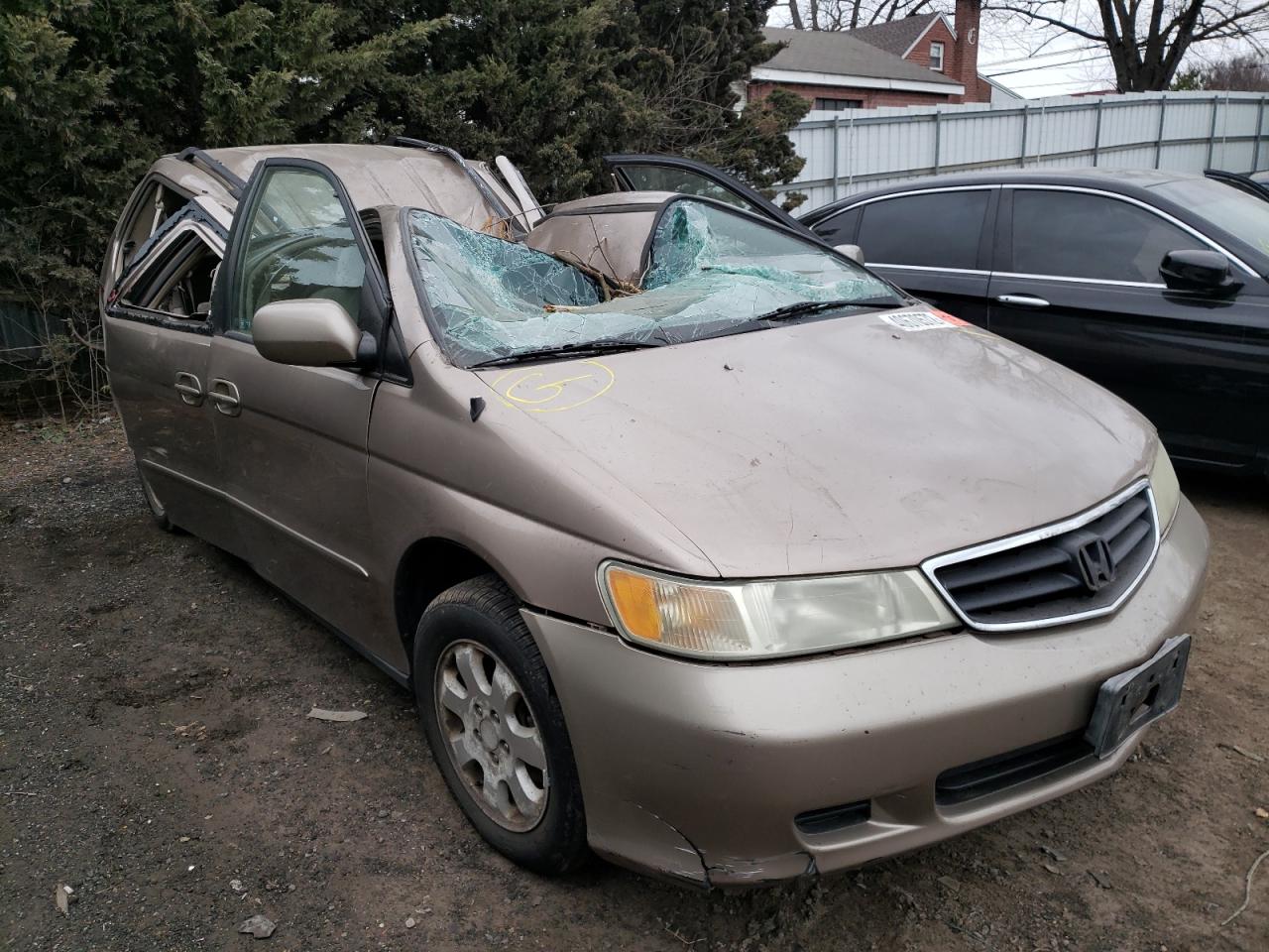 HONDA ODYSSEY EX 2003 with VIN 5FNRL18663B101448 - Photo from auction