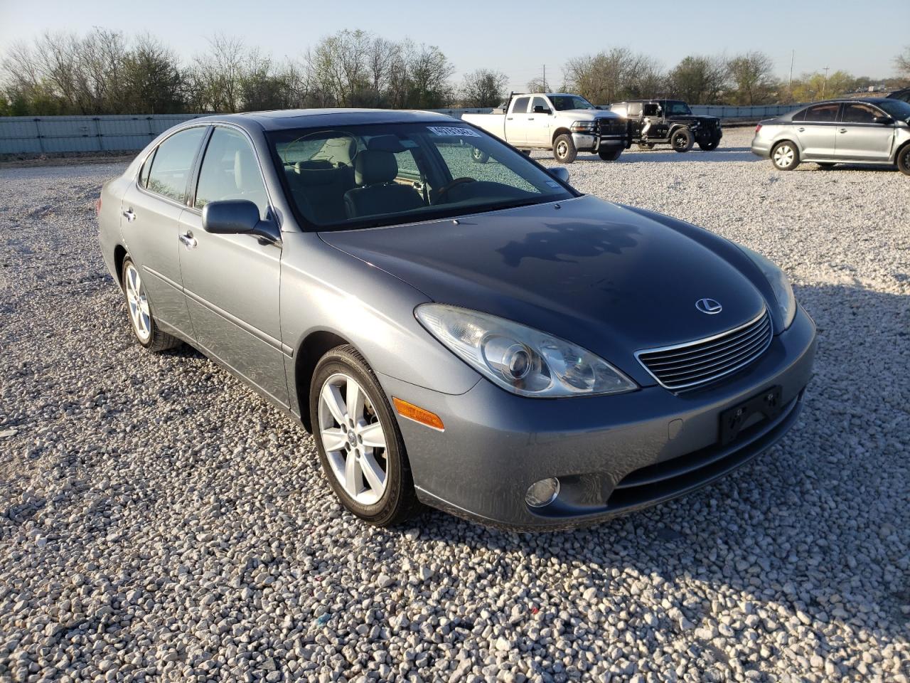 LEXUS ES 330 2006 with VIN JTHBA30G865175336 - Photo from auction