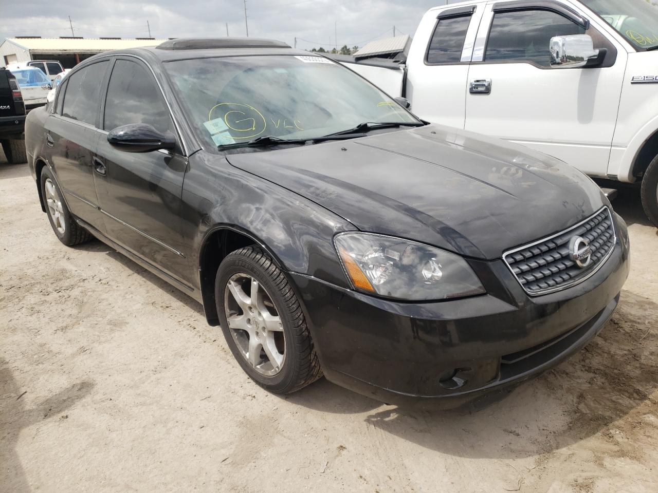 NISSAN ALTIMA S 2005 with VIN 1N4AL11E75C130462 - Photo from auction