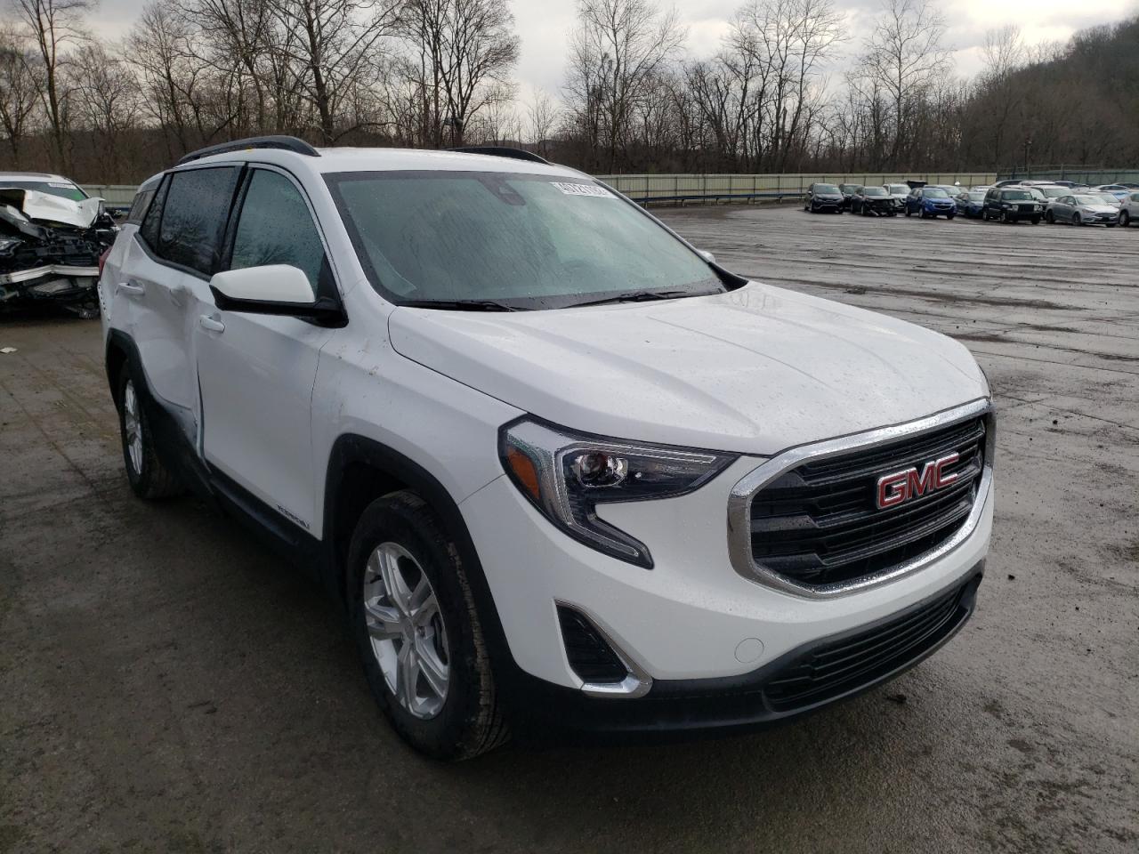 GMC TERRAIN SL 2020 with VIN 3GKALMEV3LL337653 - Photo from auction