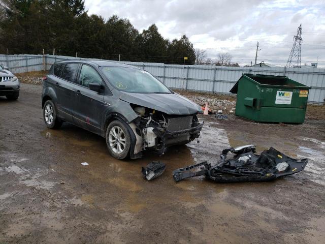 FORD ESCAPE S 2017 with VIN 1FMCU0F72HUC69817 - Photo from auction