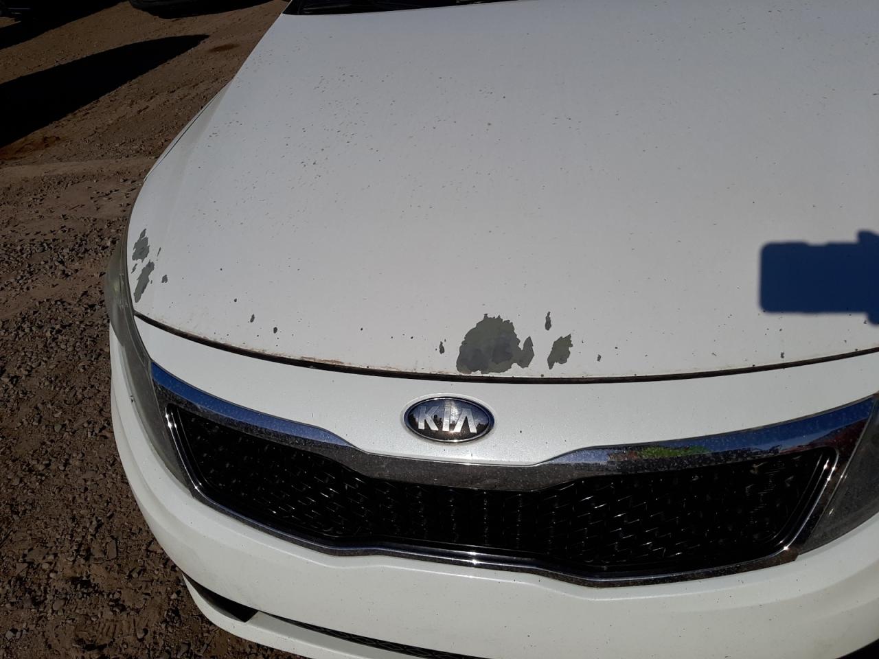 Photo 9 from auction – 2013 KIA OPTIMA EX with VIN 5XXGN4A73DG195115