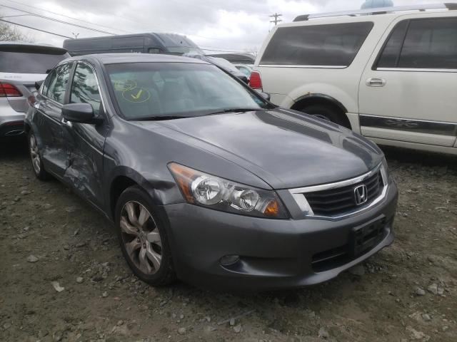 HONDA ACCORD EXL 2010 with VIN 1HGCP3F88AA005709 - Photo from auction