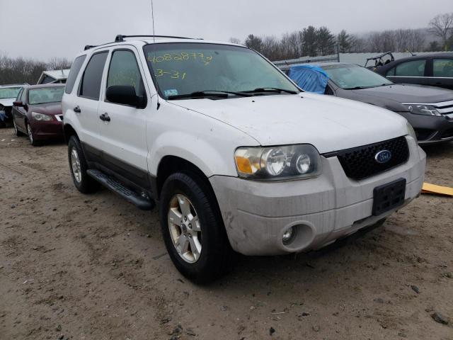FORD ESCAPE 2006 with VIN 1FMYU93146KA09339 - Photo from auction