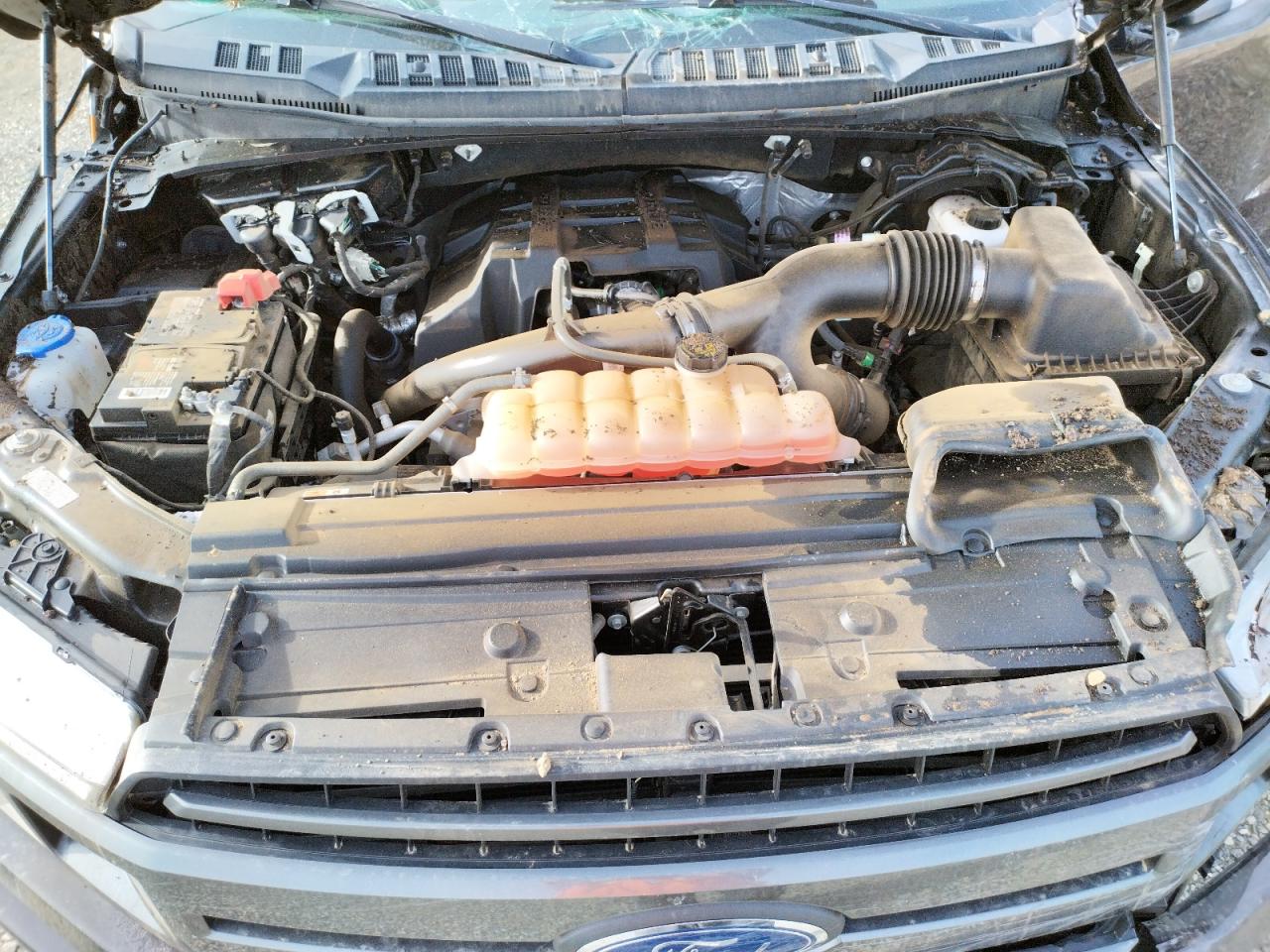 Photo 7 from auction – 2018 FORD F150 SUPER with VIN 1FTEW1EP7JFA51557