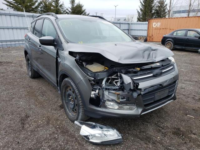 Photo 4 from auction – 2014 FORD ESCAPE SE with VIN 1FMCU9G9XEUD03809