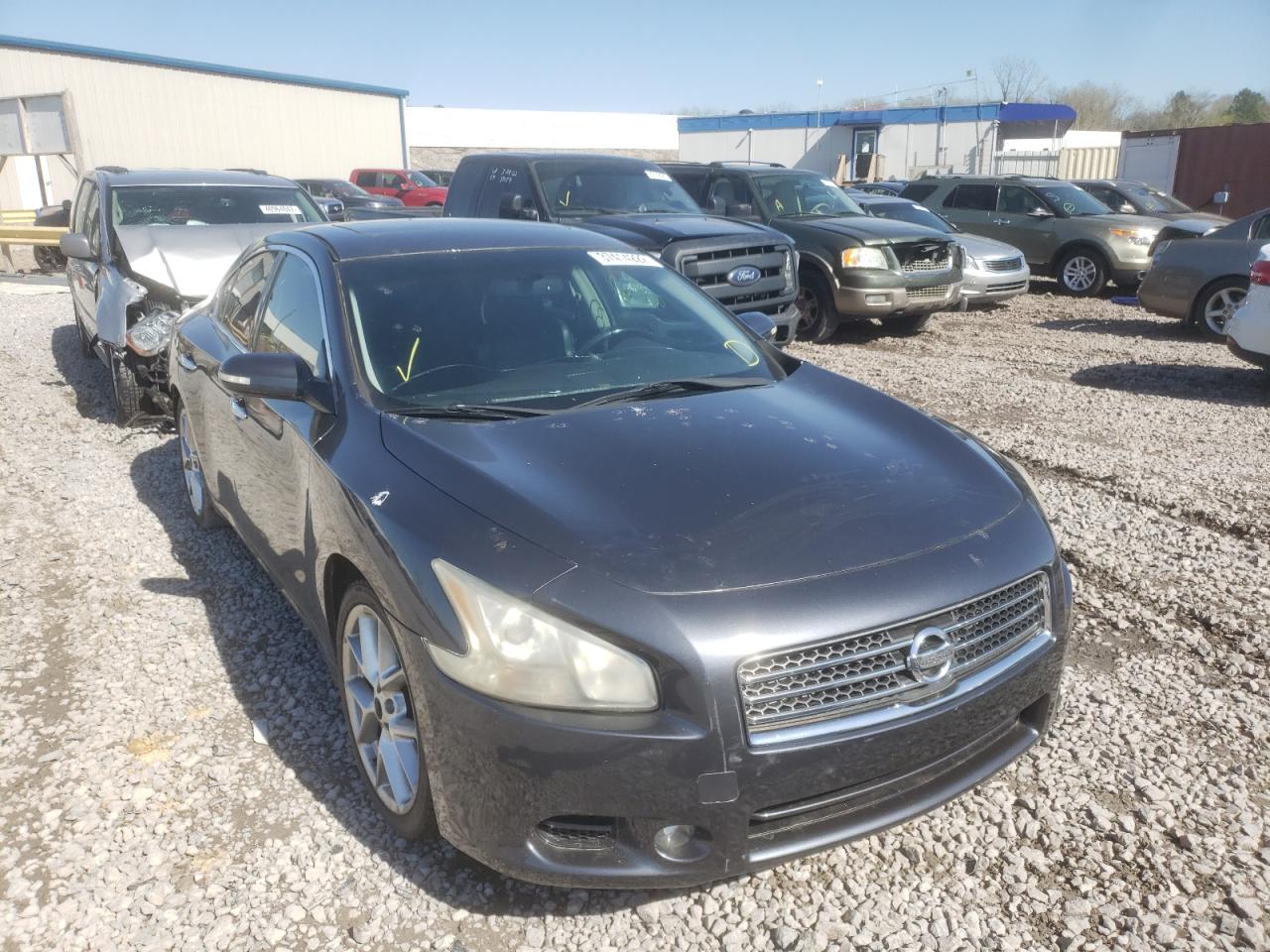 NISSAN MAXIMA S 2010 with VIN 1N4AA5AP5AC832627 - Photo from auction