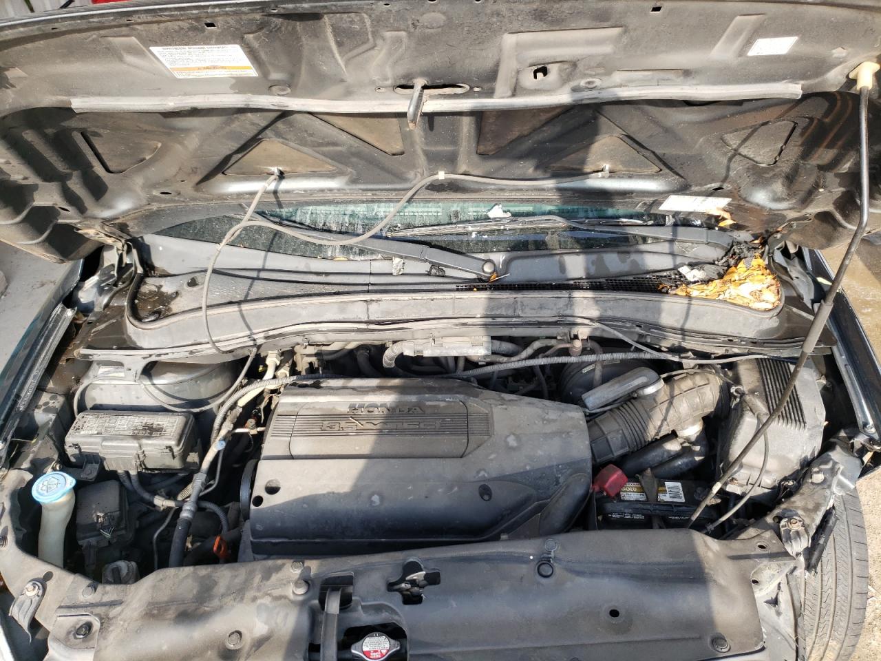 Photo 7 from auction – 2004 HONDA PILOT EX with VIN 5FNYF18454B009668
