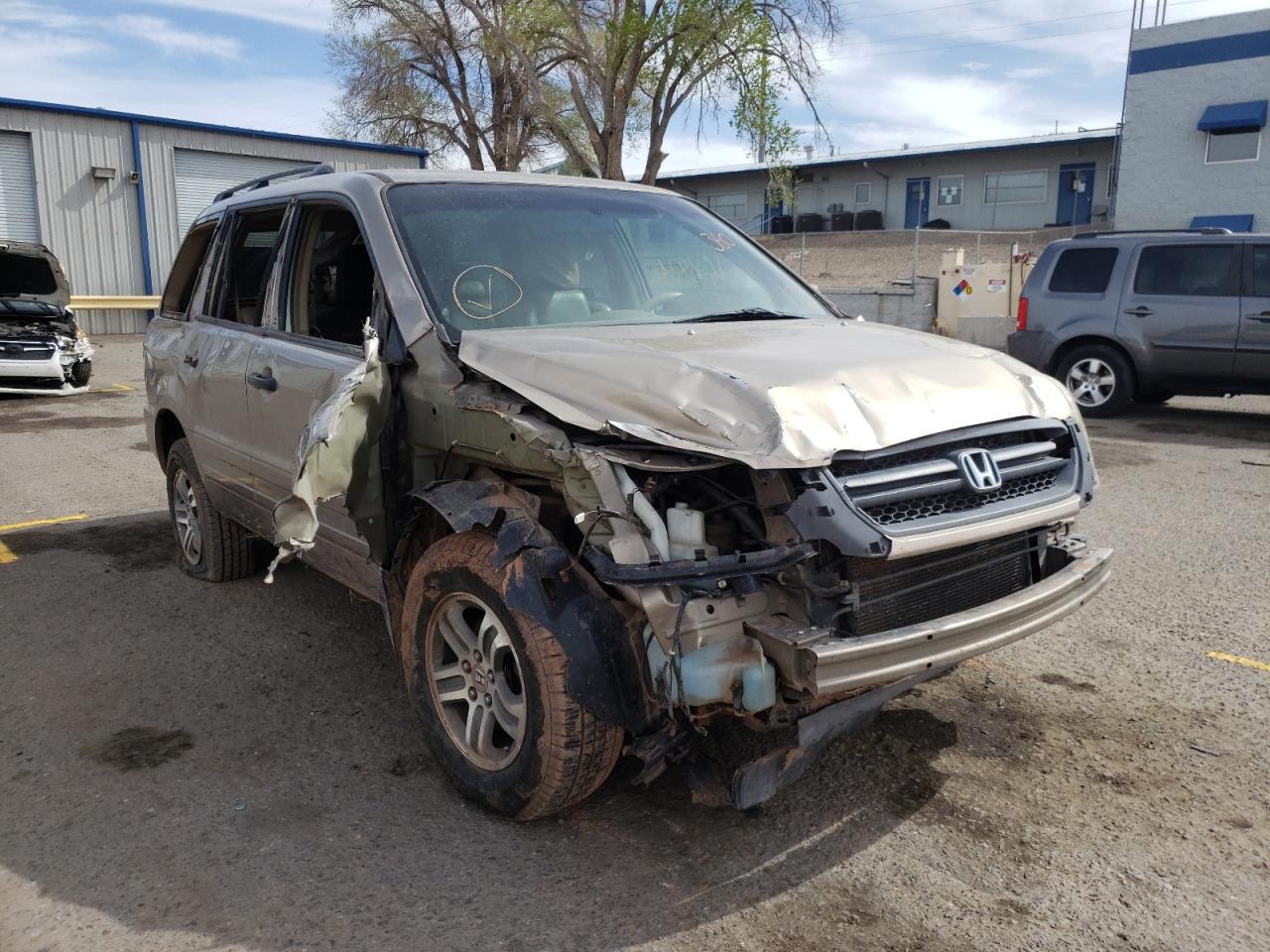 HONDA PILOT EXL 2004 with VIN 2HKYF18534H613133 - Photo from auction
