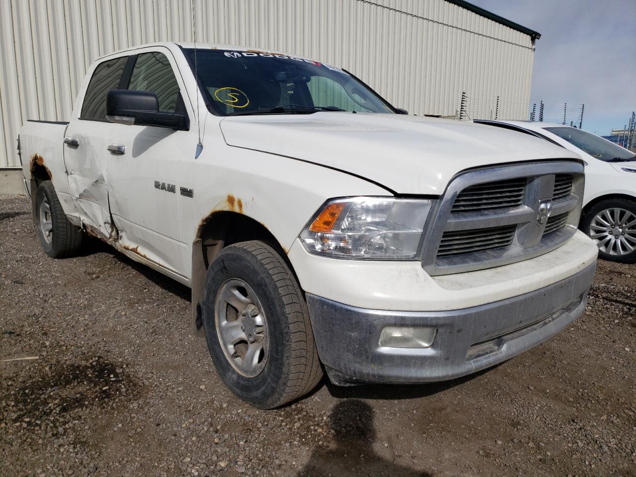 DODGE RAM 1500 2009 with VIN 1D3HV13T09S713652 - Photo from auction